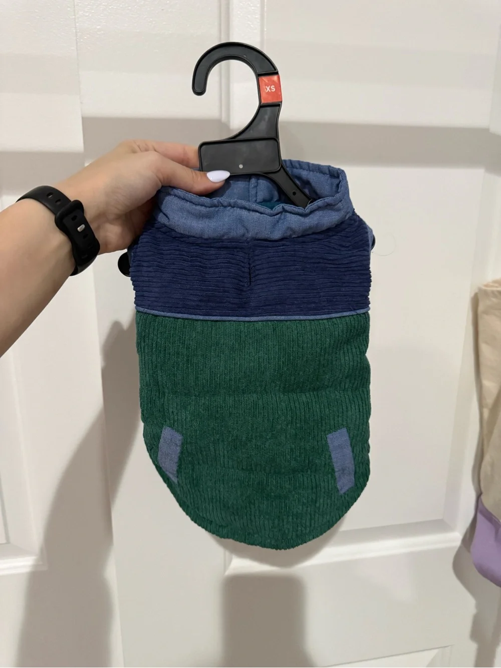 Dog Clothes - Sweatshirt and Jacket Bundle